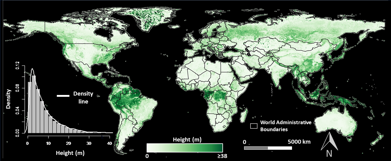 ATL18 gridded vegetation height (provided by Amy Neuenschwander, UT Austin)